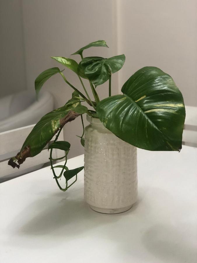 Apart Sur Departamento 圣达菲 外观 照片